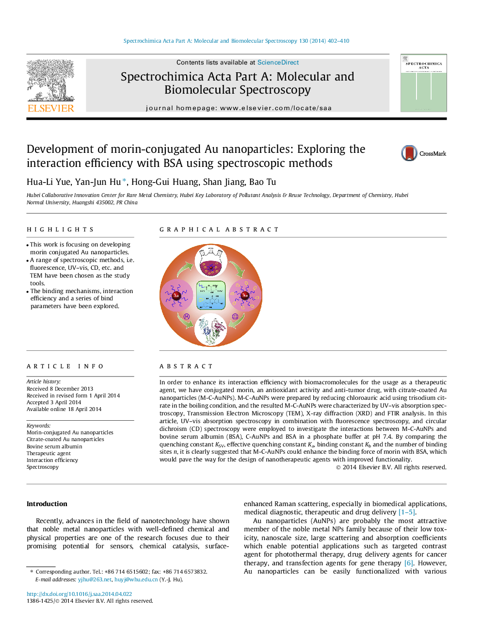 Development of morin-conjugated Au nanoparticles: Exploring the interaction efficiency with BSA using spectroscopic methods