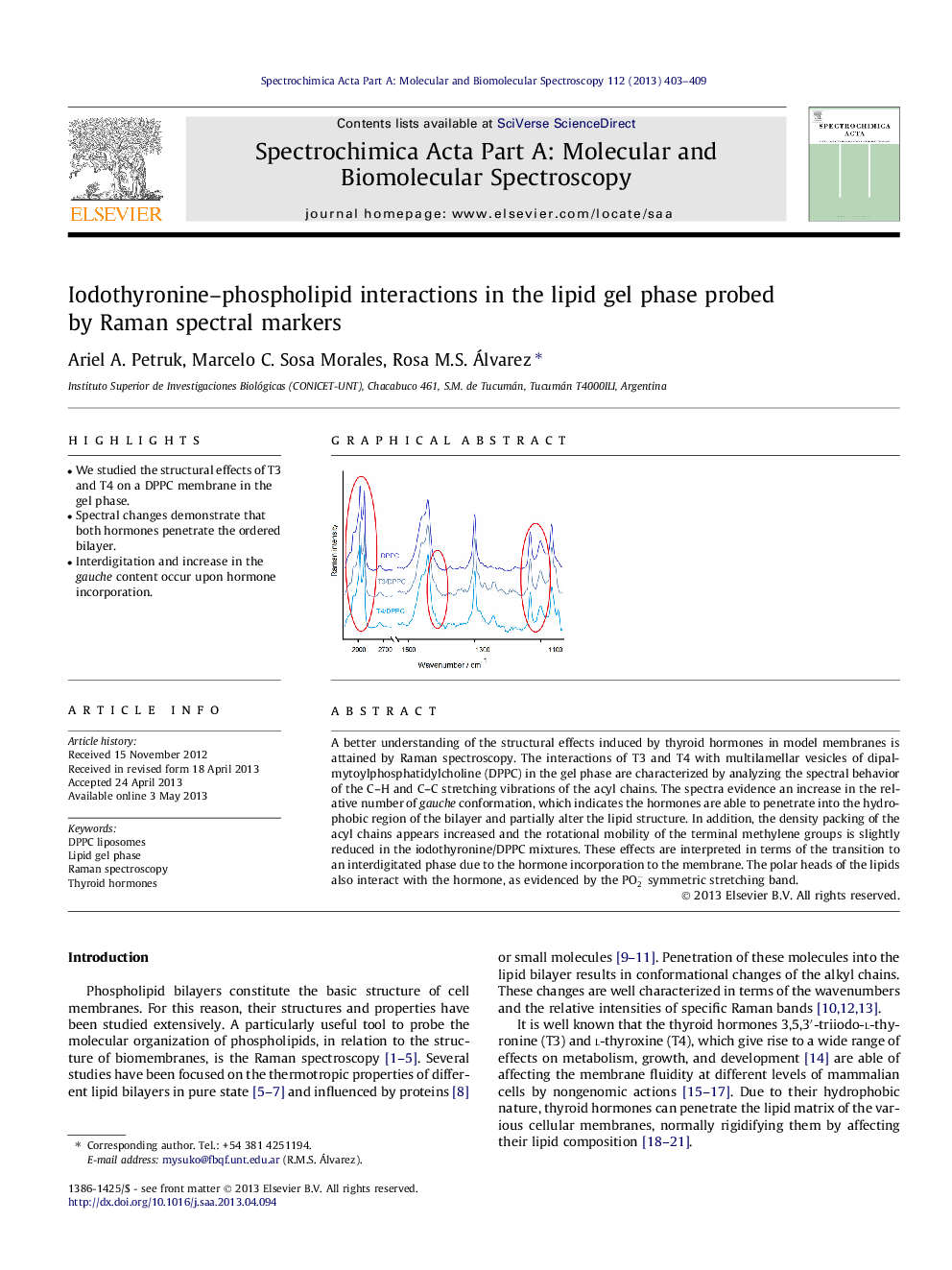 Iodothyronine–phospholipid interactions in the lipid gel phase probed by Raman spectral markers