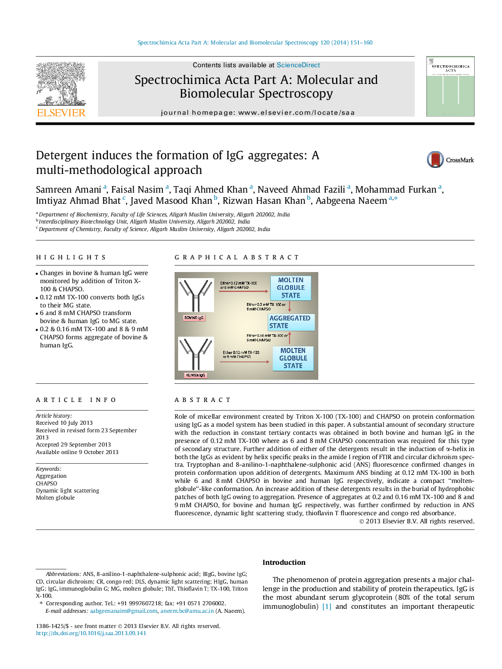 Detergent induces the formation of IgG aggregates: A multi-methodological approach