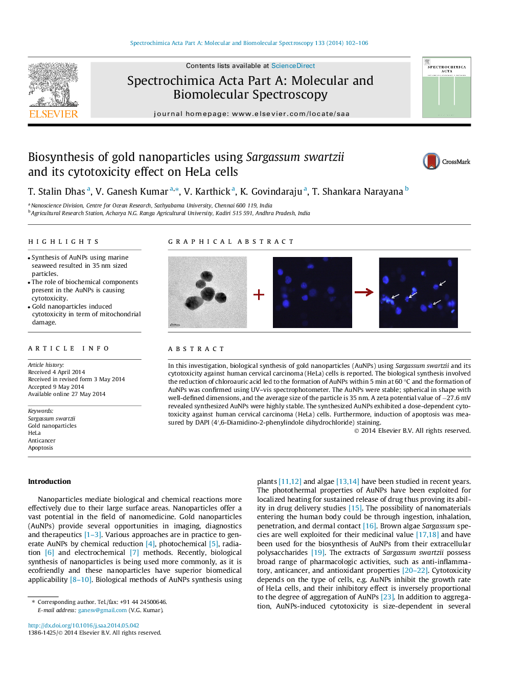 Biosynthesis of gold nanoparticles using Sargassum swartzii and its cytotoxicity effect on HeLa cells