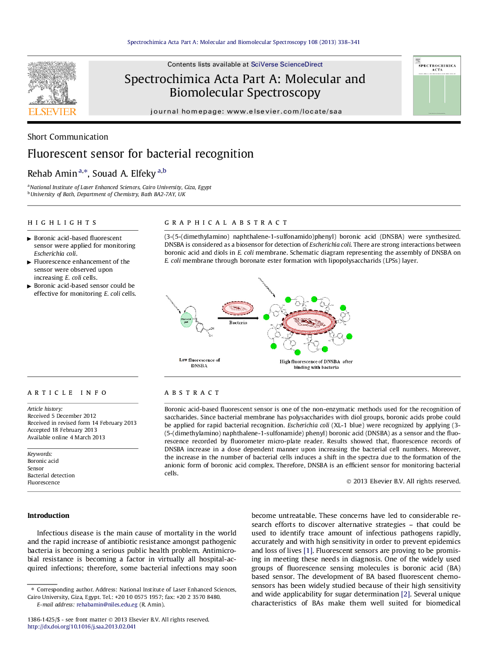 Fluorescent sensor for bacterial recognition