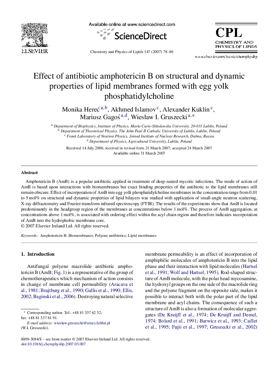 Effect of antibiotic amphotericin B on structural and dynamic properties of lipid membranes formed with egg yolk phosphatidylcholine