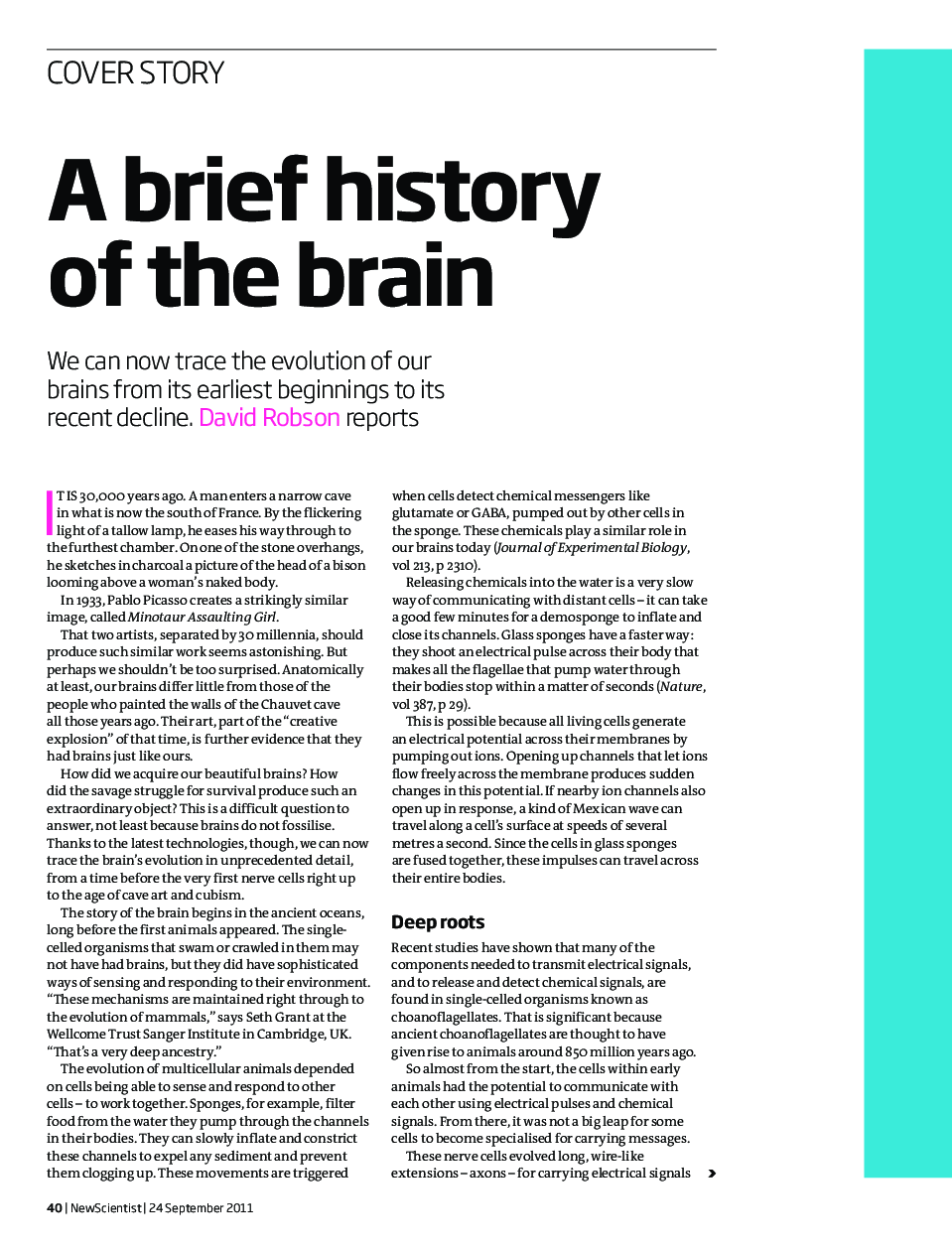 A brief history of the brain