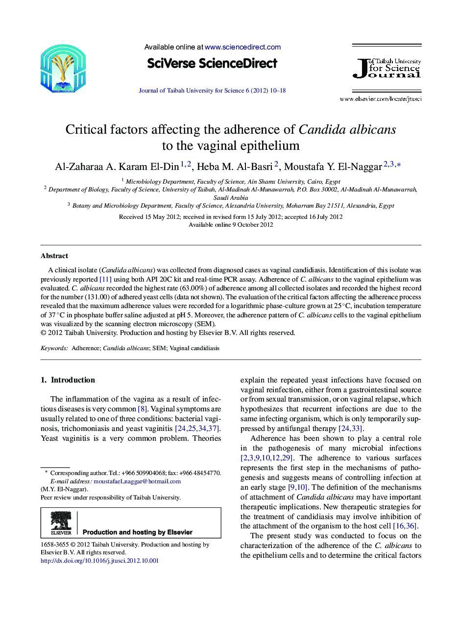 Critical factors affecting the adherence of Candida albicans to the vaginal epithelium 