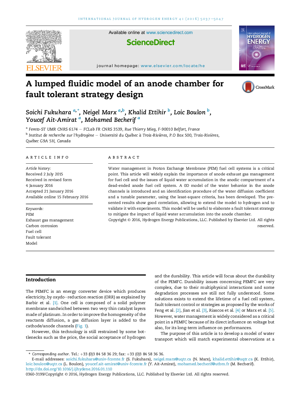 A lumped fluidic model of an anode chamber for fault tolerant strategy design