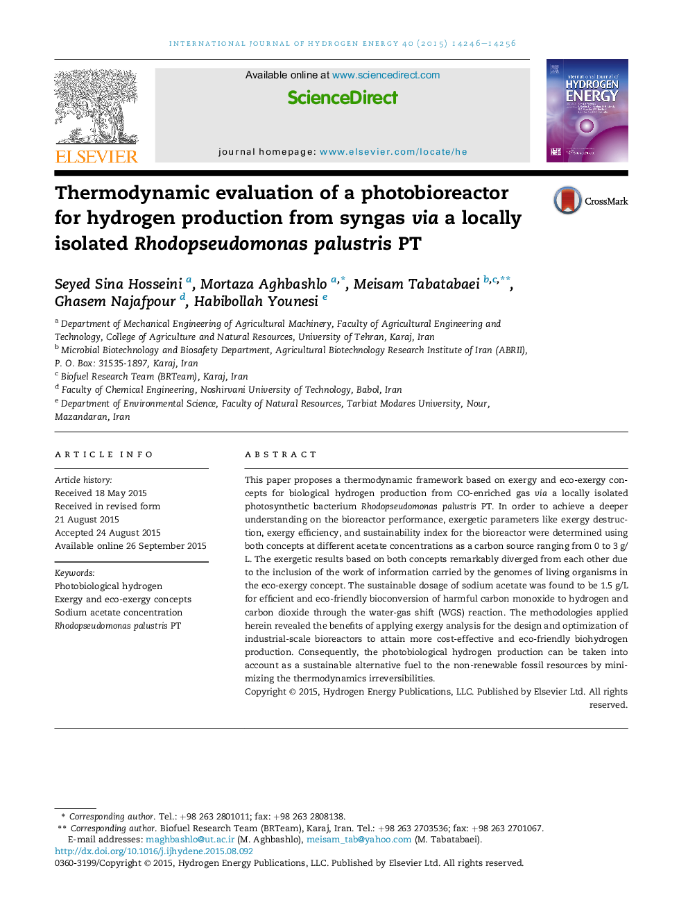 Thermodynamic evaluation of a photobioreactor for hydrogen production from syngas via a locally isolated Rhodopseudomonas palustris PT