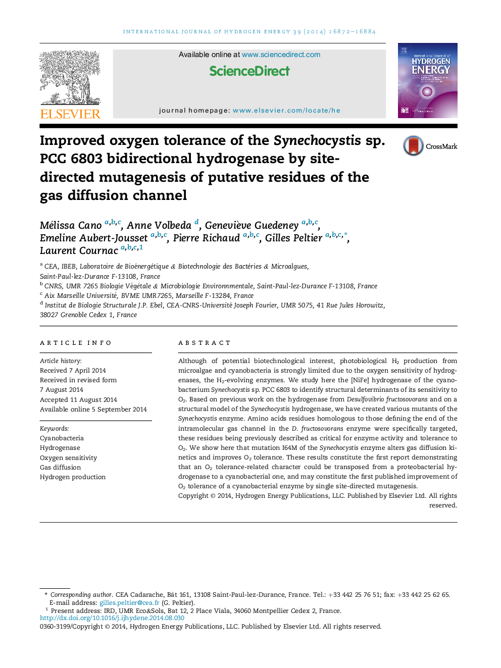 Improved oxygen tolerance of the Synechocystis sp. PCC 6803 bidirectional hydrogenase by site-directed mutagenesis of putative residues of the gas diffusion channel