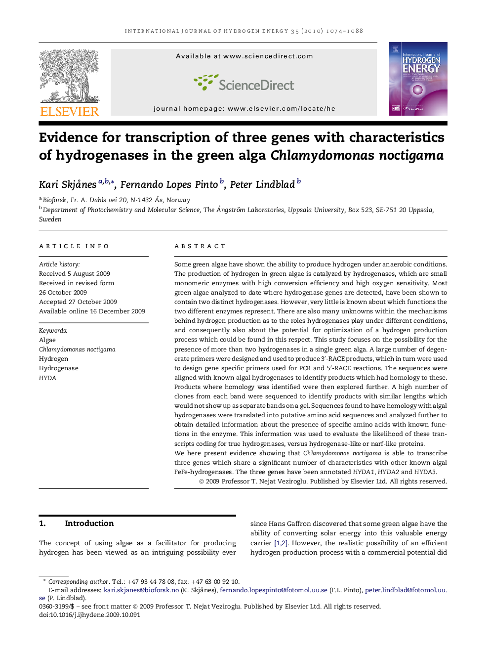 Evidence for transcription of three genes with characteristics of hydrogenases in the green alga Chlamydomonas noctigama