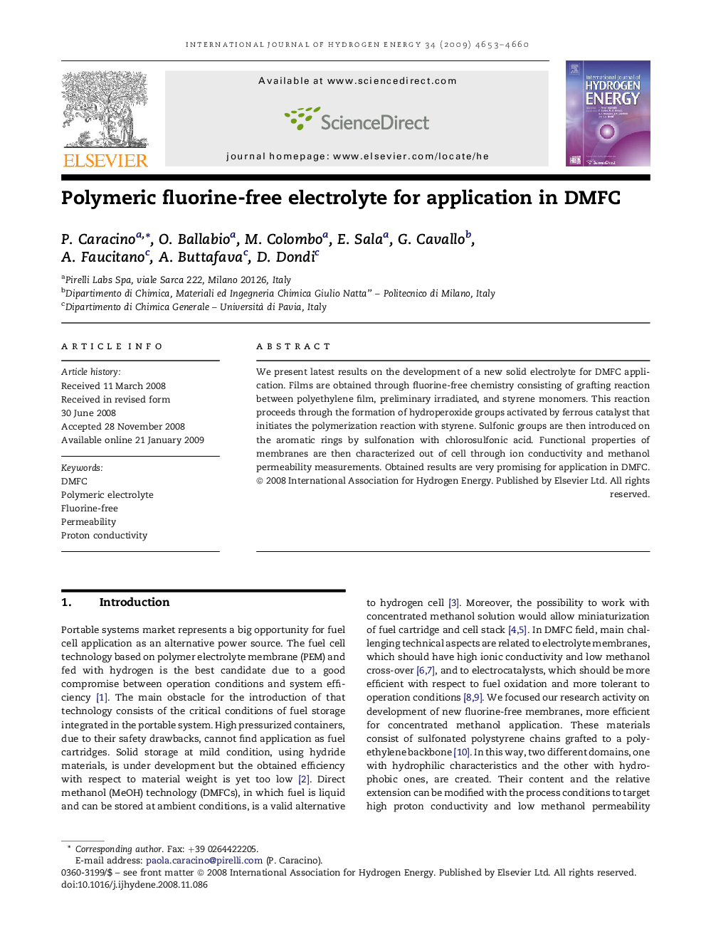 Polymeric fluorine-free electrolyte for application in DMFC