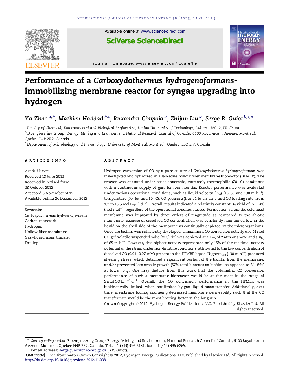 Performance of a Carboxydothermus hydrogenoformans-immobilizing membrane reactor for syngas upgrading into hydrogen