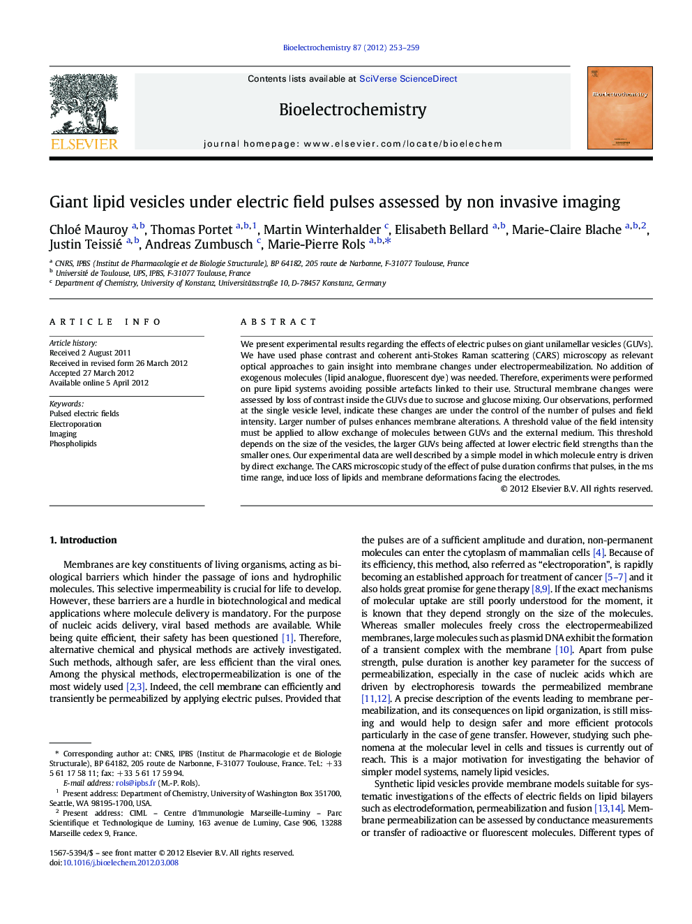 Giant lipid vesicles under electric field pulses assessed by non invasive imaging