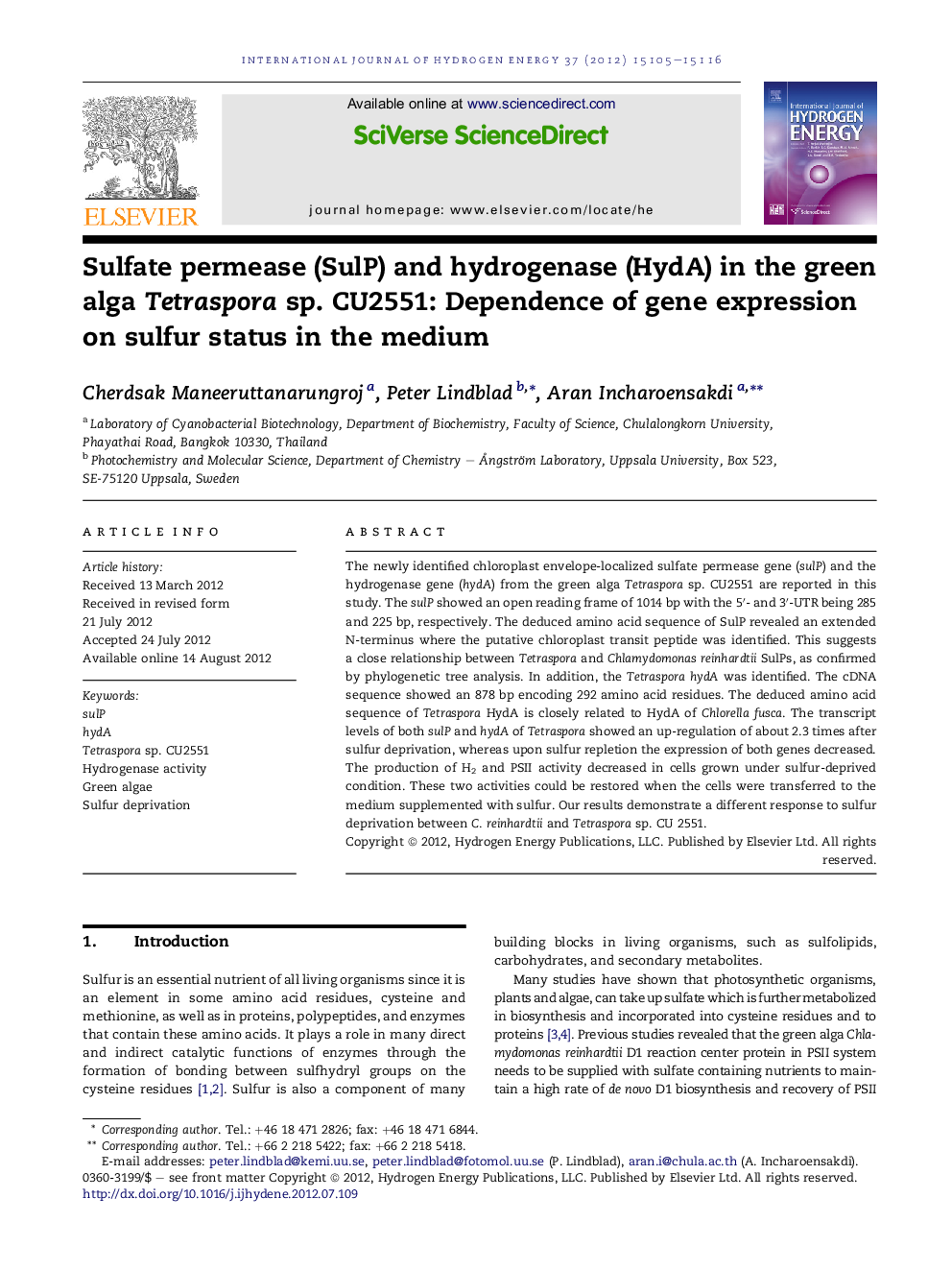 Sulfate permease (SulP) and hydrogenase (HydA) in the green alga Tetraspora sp. CU2551: Dependence of gene expression on sulfur status in the medium