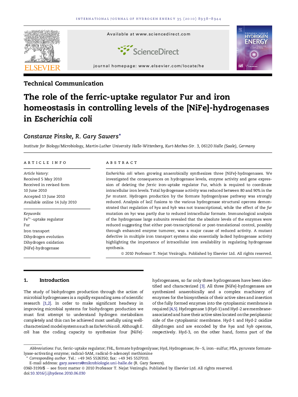 The role of the ferric-uptake regulator Fur and iron homeostasis in controlling levels of the [NiFe]-hydrogenases in Escherichia coli