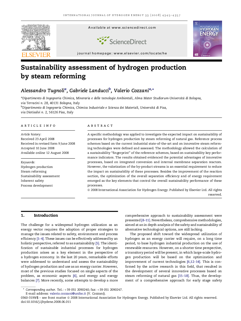 Sustainability assessment of hydrogen production by steam reforming