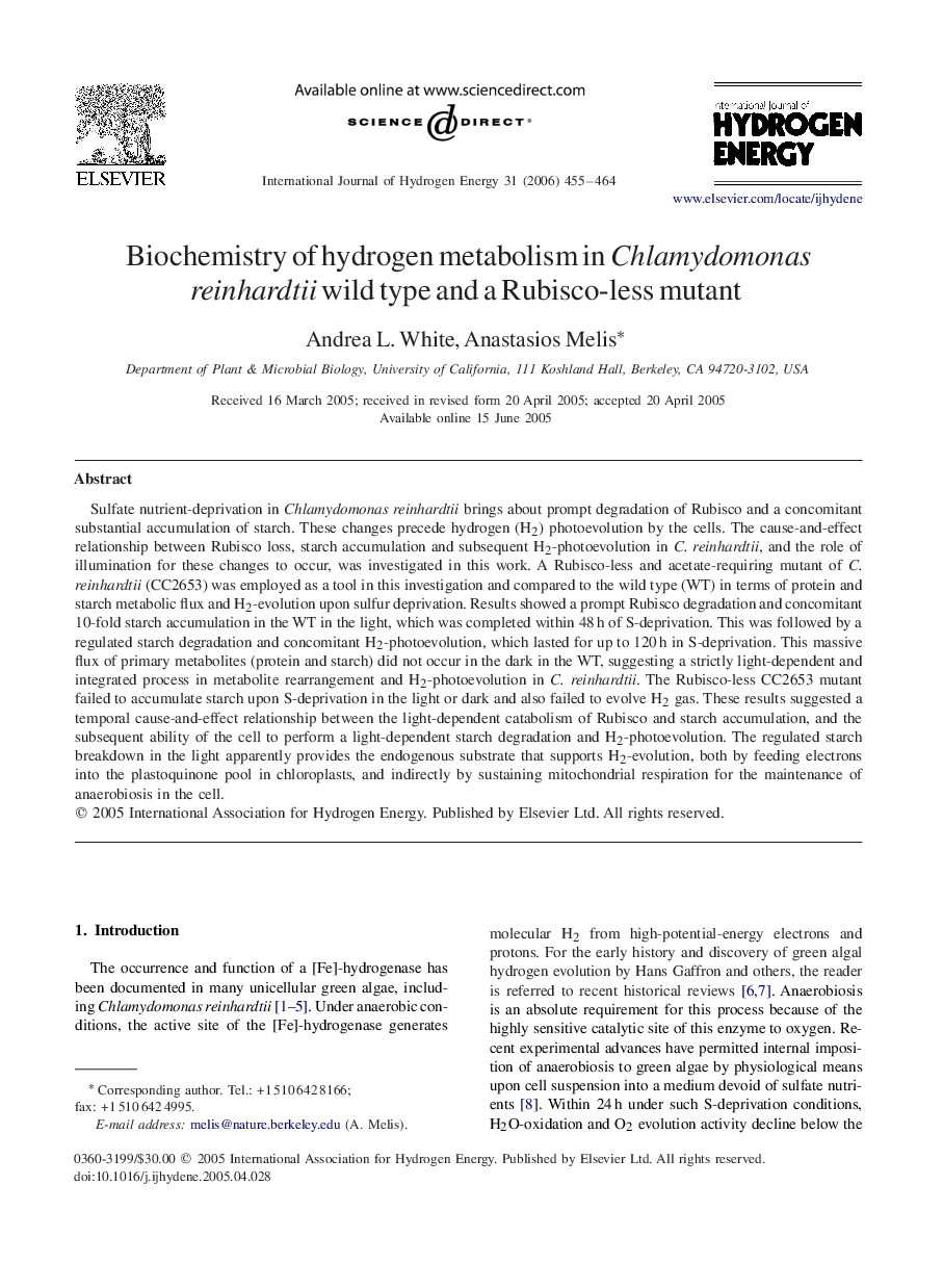 Biochemistry of hydrogen metabolism in Chlamydomonas reinhardtii wild type and a Rubisco-less mutant