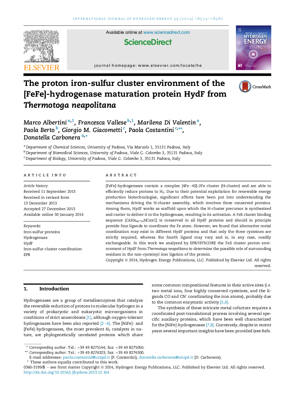 The proton iron-sulfur cluster environment of the [FeFe]-hydrogenase maturation protein HydF from Thermotoga neapolitana