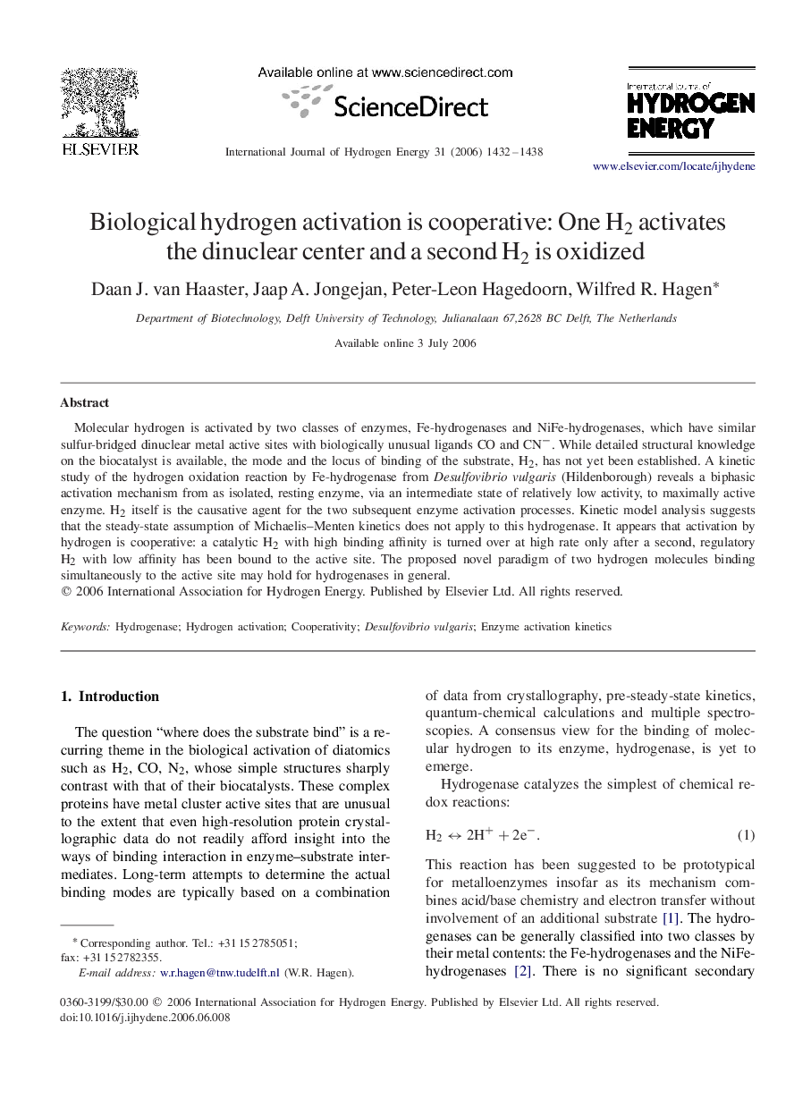 Biological hydrogen activation is cooperative: One H2H2 activates the dinuclear center and a second H2H2 is oxidized