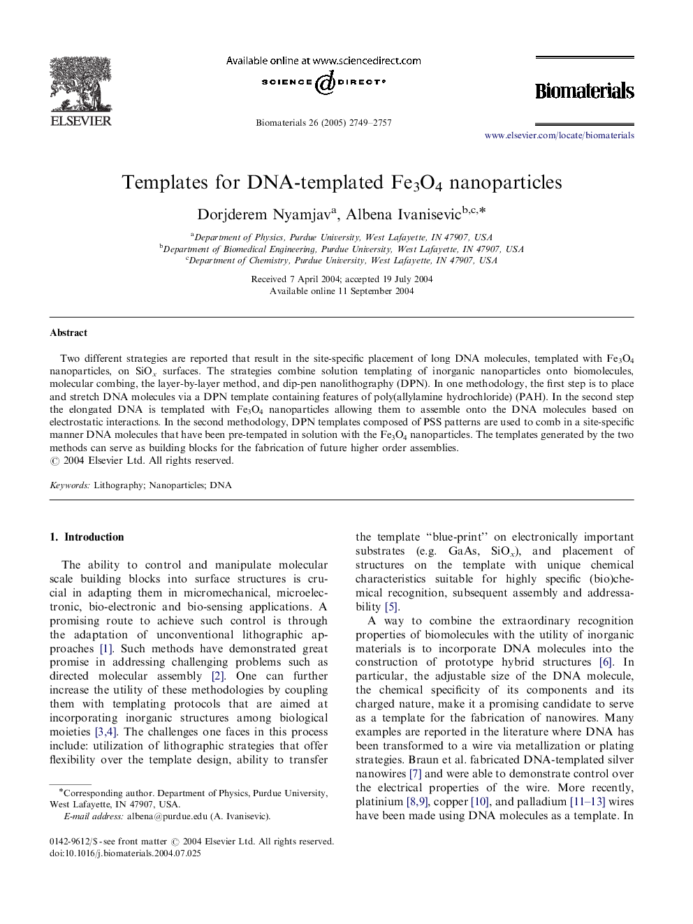 Templates for DNA-templated Fe3O4 nanoparticles