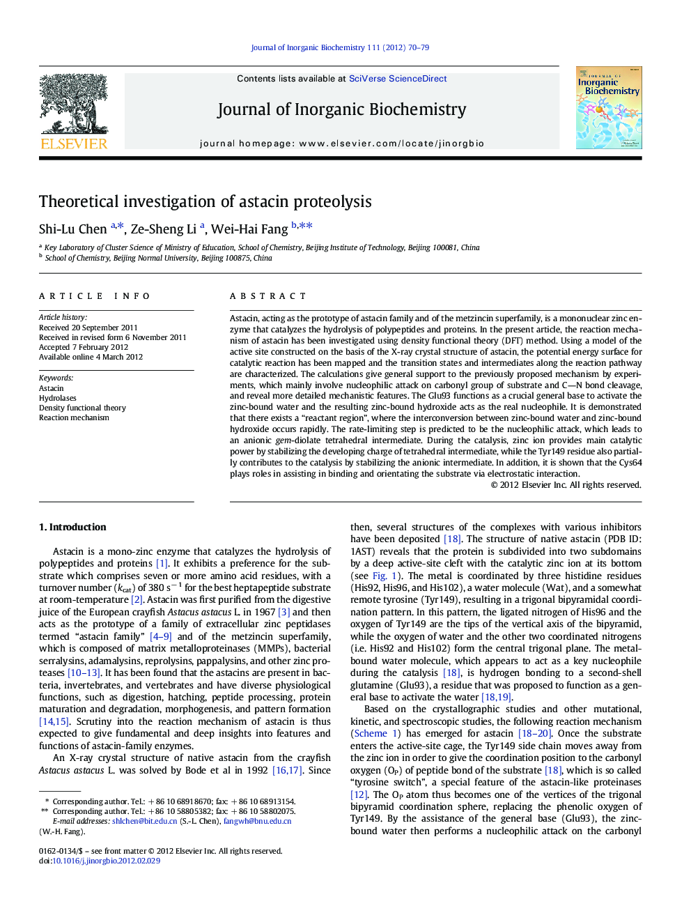 Theoretical investigation of astacin proteolysis