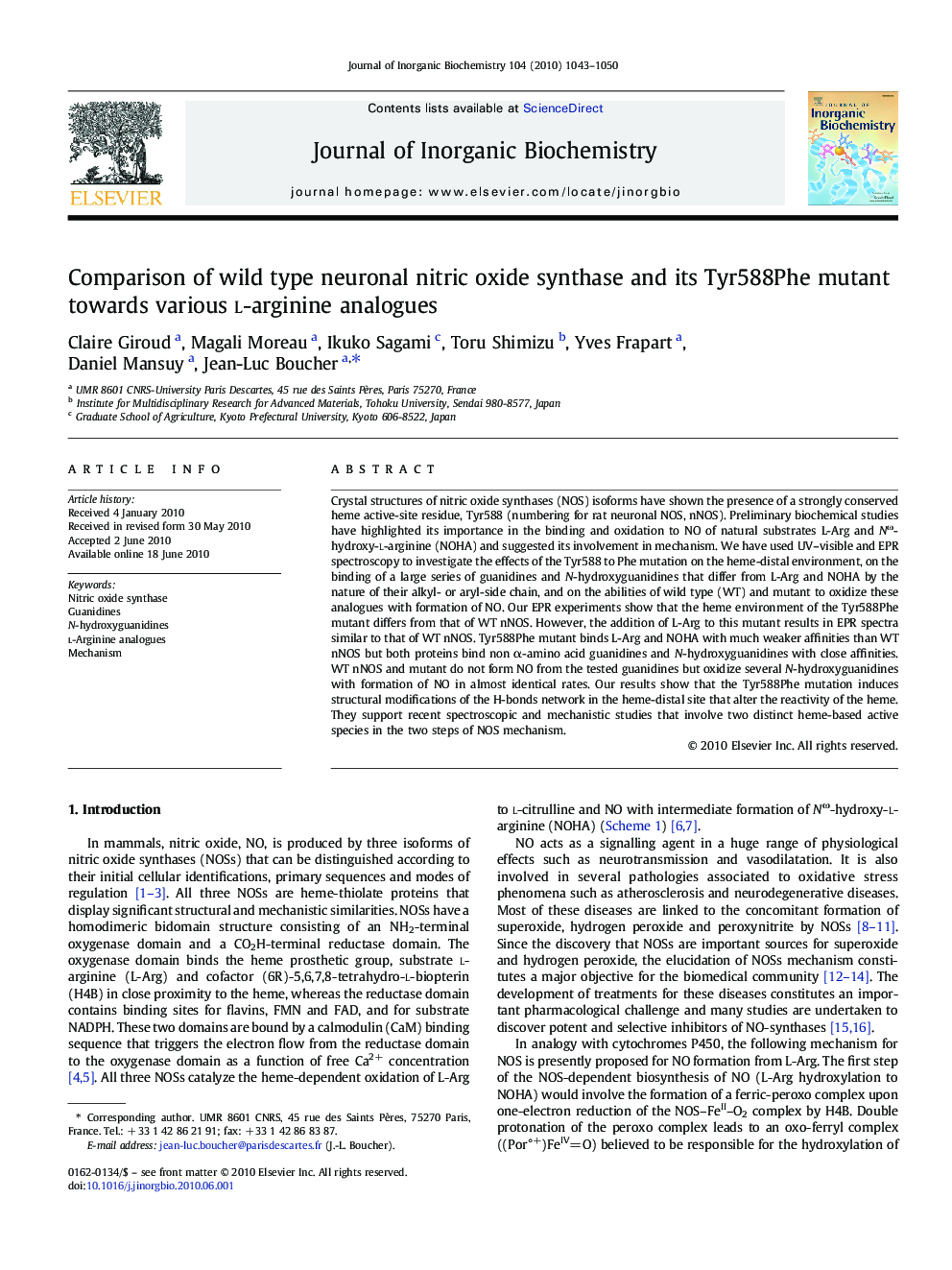 Comparison of wild type neuronal nitric oxide synthase and its Tyr588Phe mutant towards various l-arginine analogues