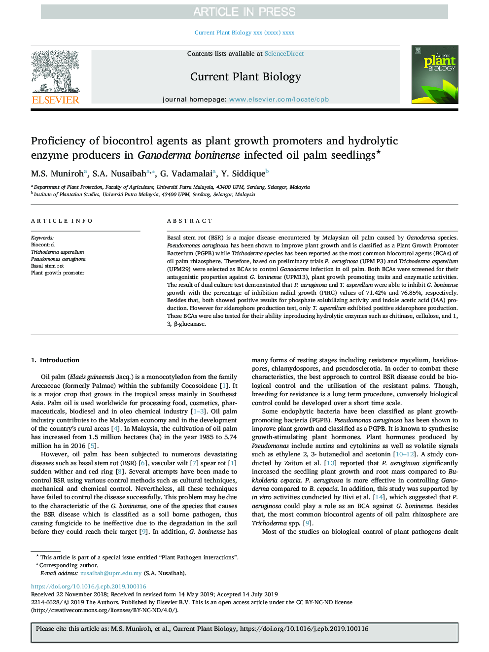 Proficiency of biocontrol agents as plant growth promoters and hydrolytic enzyme producers in Ganoderma boninense infected oil palm seedlings