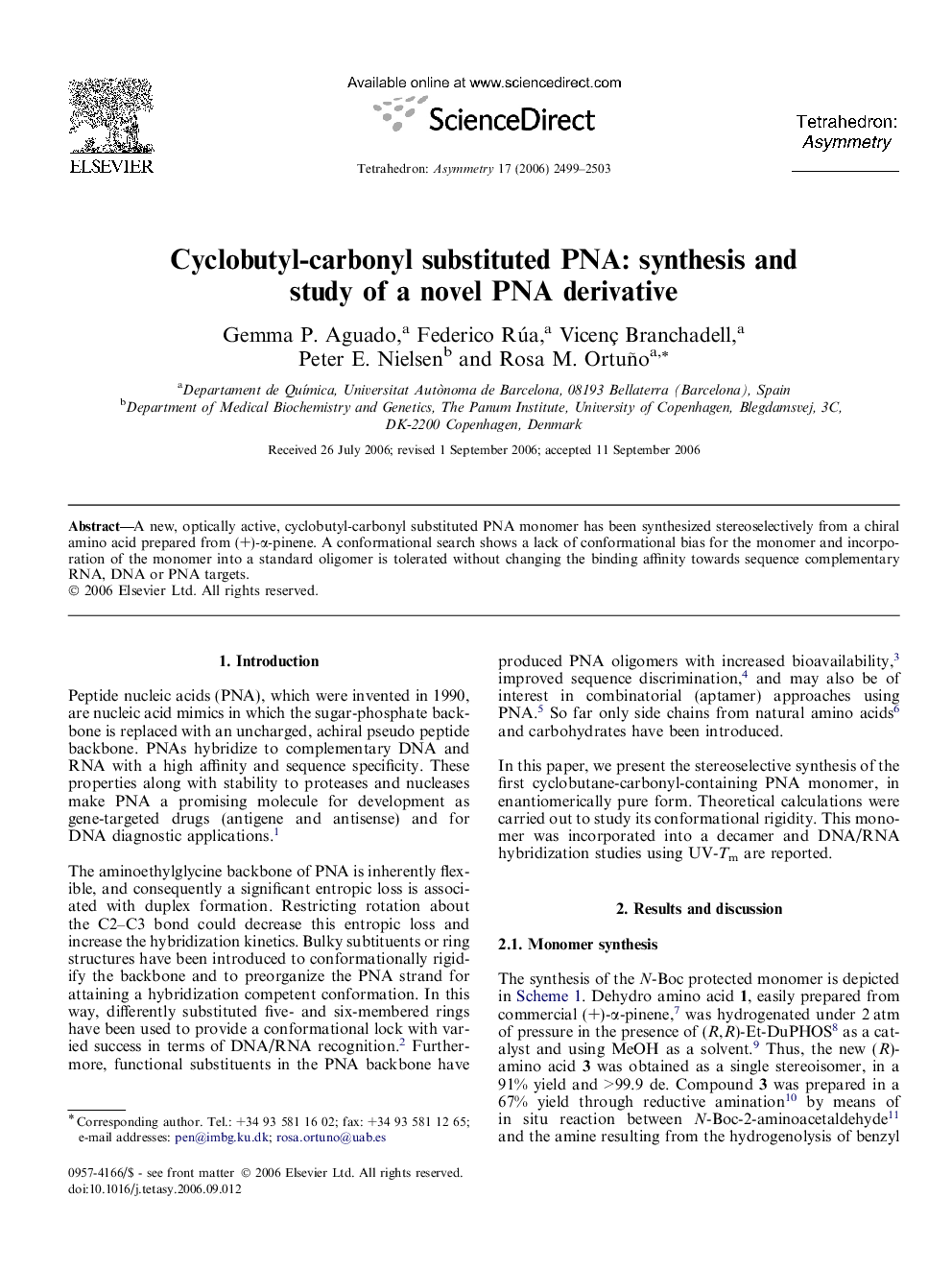 Cyclobutyl-carbonyl substituted PNA: synthesis and study of a novel PNA derivative