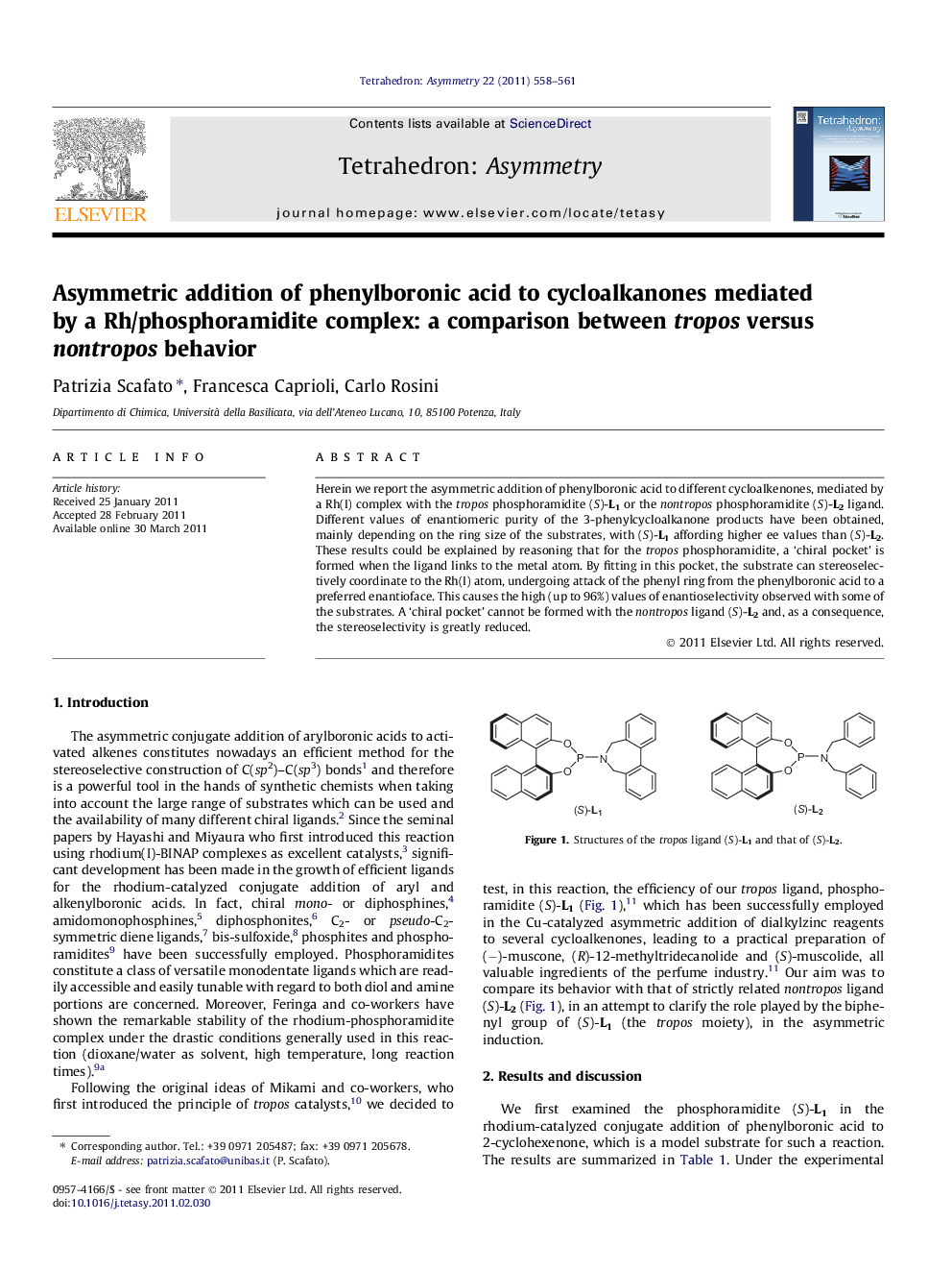 Asymmetric addition of phenylboronic acid to cycloalkanones mediated by a Rh/phosphoramidite complex: a comparison between tropos versus nontropos behavior