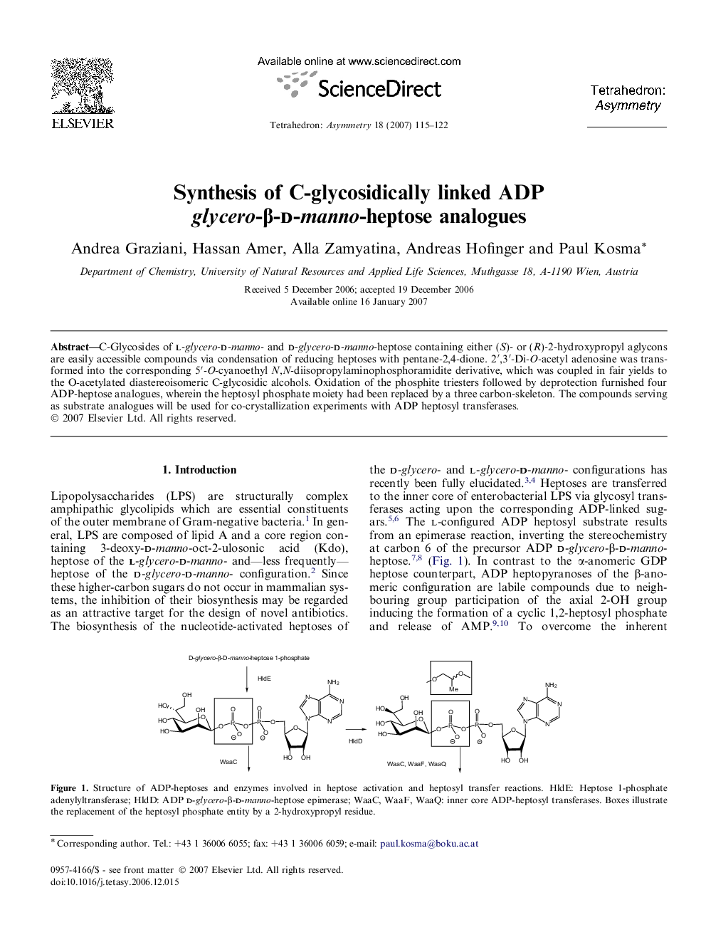Synthesis of C-glycosidically linked ADP glycero-β-d-manno-heptose analogues