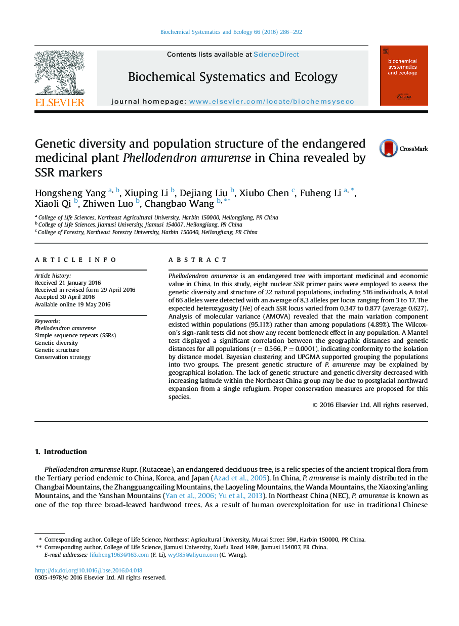 Genetic diversity and population structure of the endangered medicinal plant Phellodendron amurense in China revealed by SSR markers