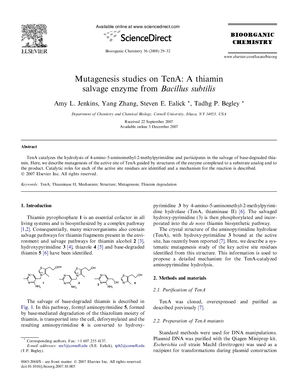 Mutagenesis studies on TenA: A thiamin salvage enzyme from Bacillus subtilis