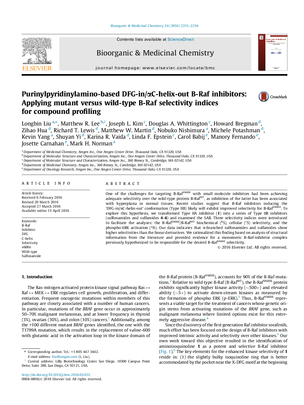 Purinylpyridinylamino-based DFG-in/αC-helix-out B-Raf inhibitors: Applying mutant versus wild-type B-Raf selectivity indices for compound profiling