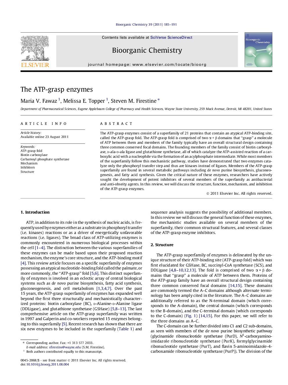 The ATP-grasp enzymes