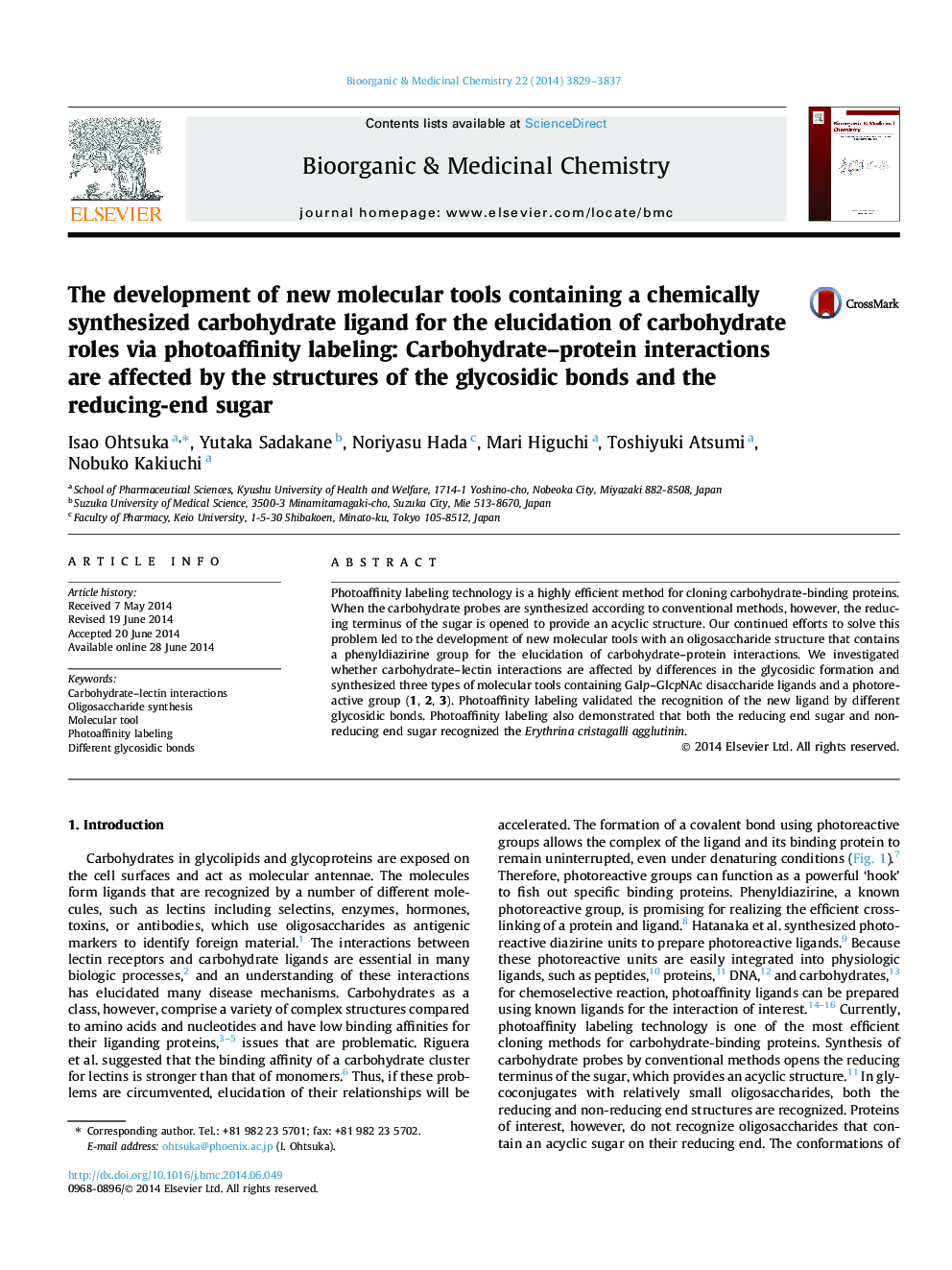 The development of new molecular tools containing a chemically synthesized carbohydrate ligand for the elucidation of carbohydrate roles via photoaffinity labeling: Carbohydrate–protein interactions are affected by the structures of the glycosidic bonds a