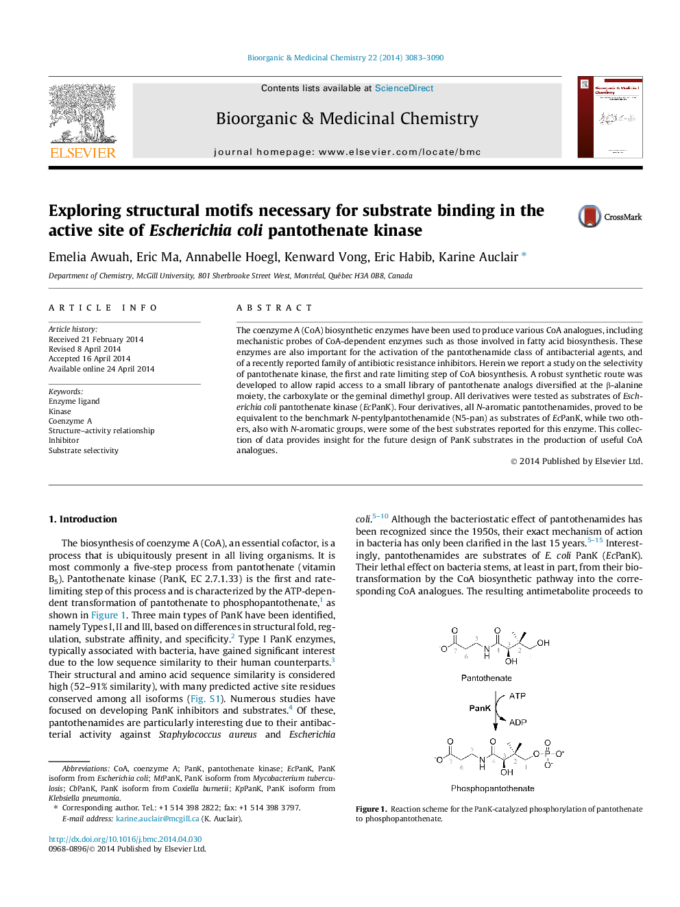 Exploring structural motifs necessary for substrate binding in the active site of Escherichia coli pantothenate kinase