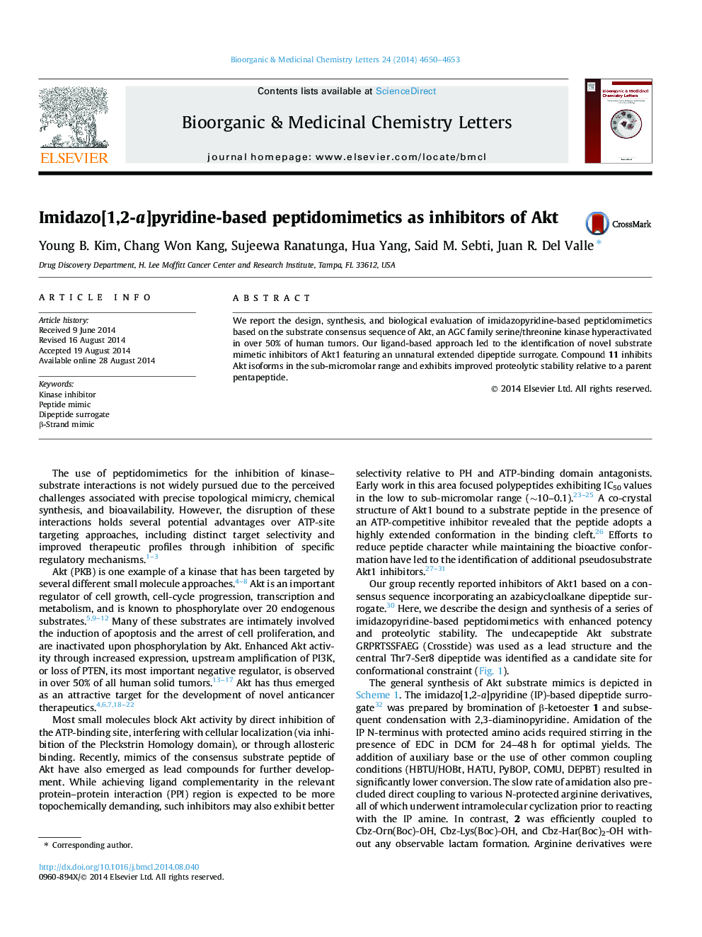 Imidazo[1,2-a]pyridine-based peptidomimetics as inhibitors of Akt