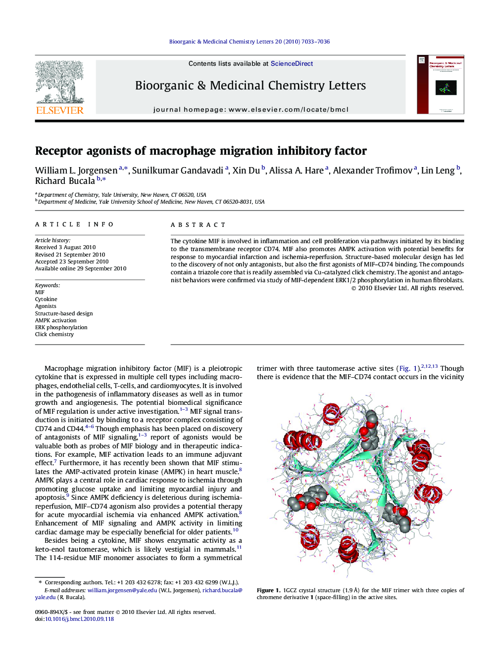 Receptor agonists of macrophage migration inhibitory factor