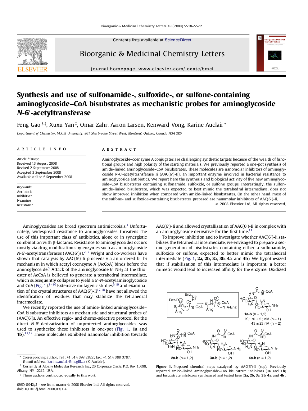 Synthesis and use of sulfonamide-, sulfoxide-, or sulfone-containing aminoglycoside–CoA bisubstrates as mechanistic probes for aminoglycoside N-6′-acetyltransferase