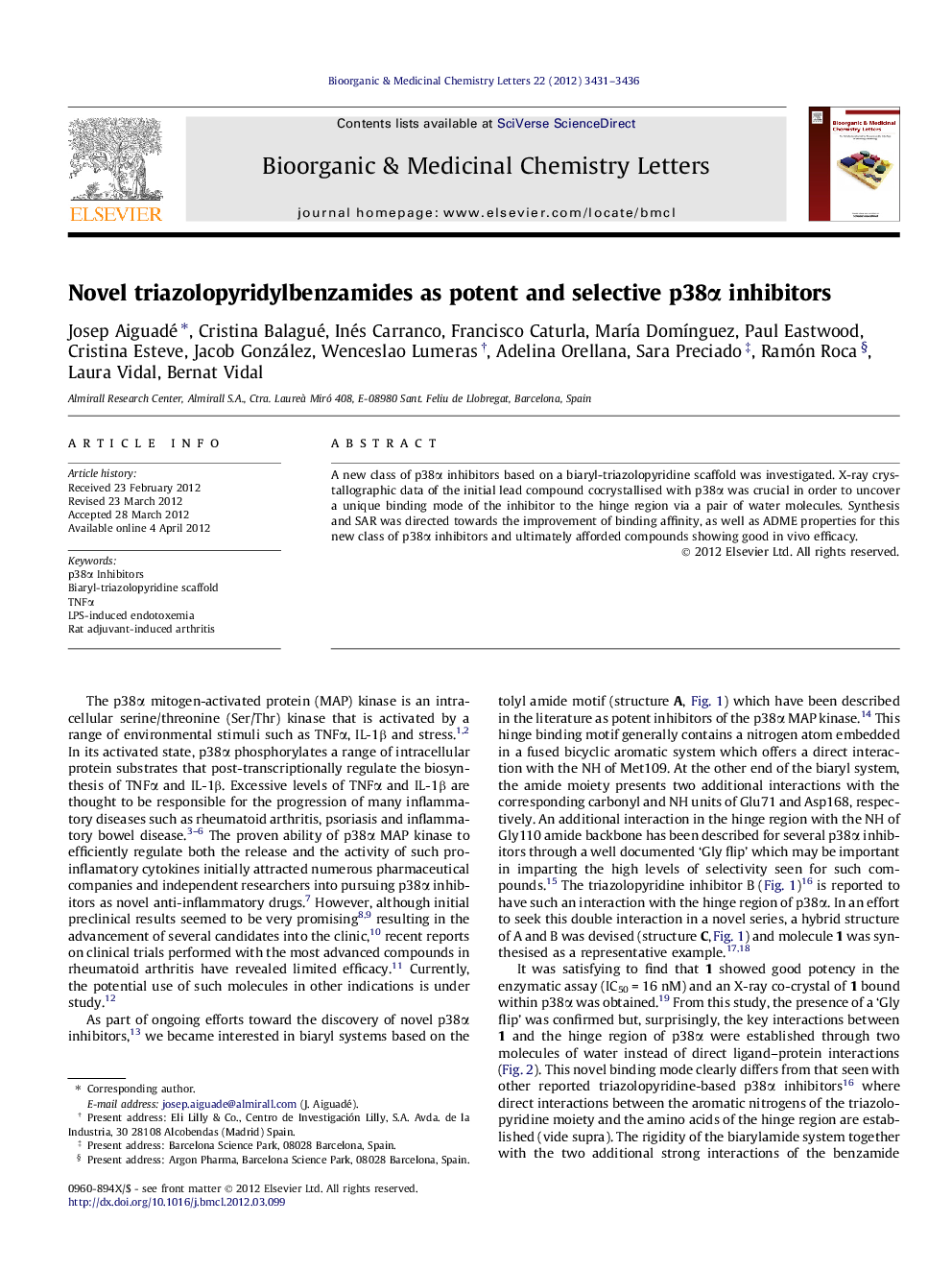 Novel triazolopyridylbenzamides as potent and selective p38α inhibitors