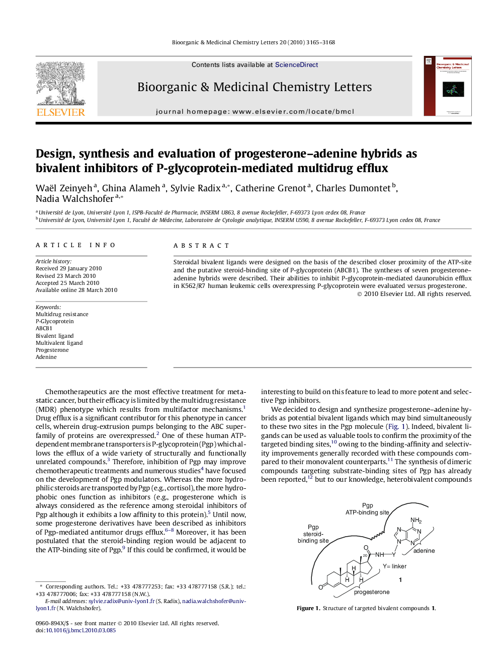 Design, synthesis and evaluation of progesterone–adenine hybrids as bivalent inhibitors of P-glycoprotein-mediated multidrug efflux