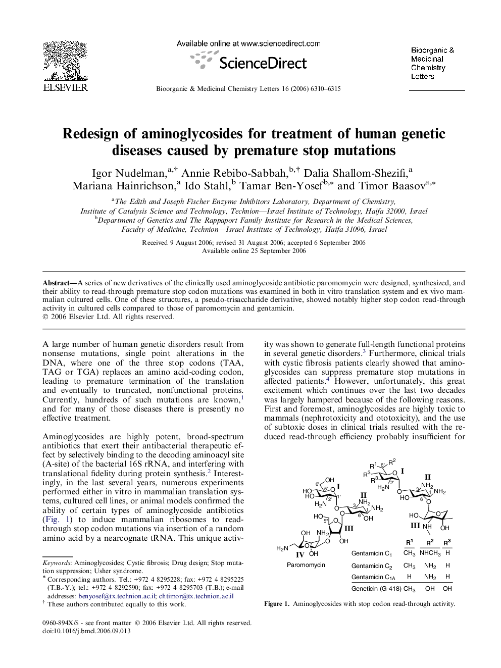 Redesign of aminoglycosides for treatment of human genetic diseases caused by premature stop mutations