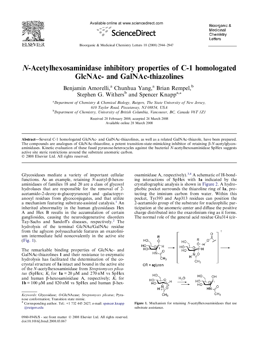 N-Acetylhexosaminidase inhibitory properties of C-1 homologated GlcNAc- and GalNAc-thiazolines