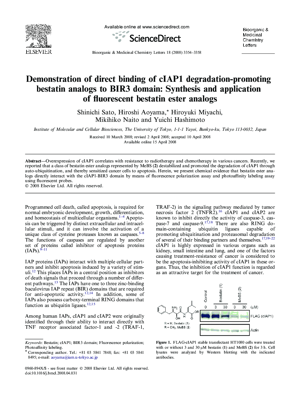 Demonstration of direct binding of cIAP1 degradation-promoting bestatin analogs to BIR3 domain: Synthesis and application of fluorescent bestatin ester analogs