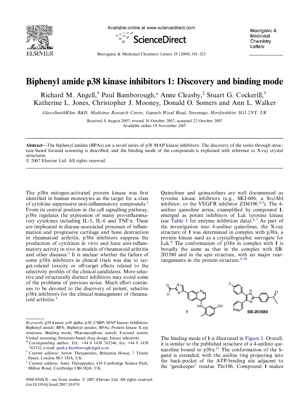 Biphenyl amide p38 kinase inhibitors 1: Discovery and binding mode