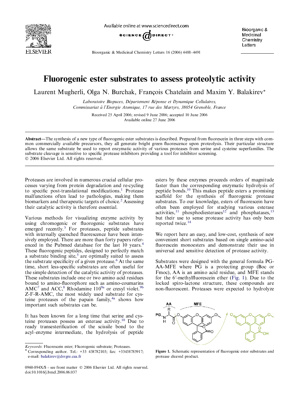 Fluorogenic ester substrates to assess proteolytic activity