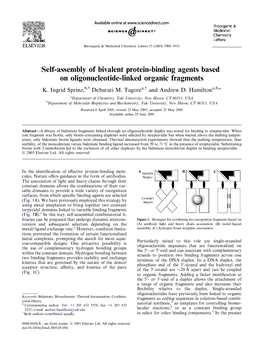 Self-assembly of bivalent protein-binding agents based on oligonucleotide-linked organic fragments