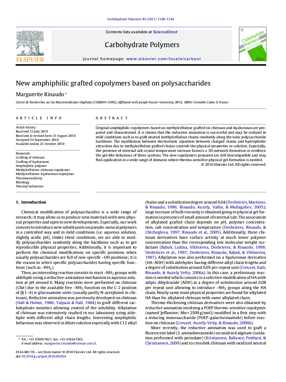 New amphiphilic grafted copolymers based on polysaccharides