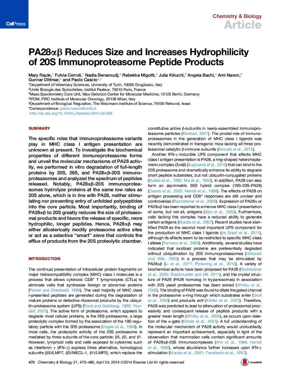 PA28αβ Reduces Size and Increases Hydrophilicity of 20S Immunoproteasome Peptide Products