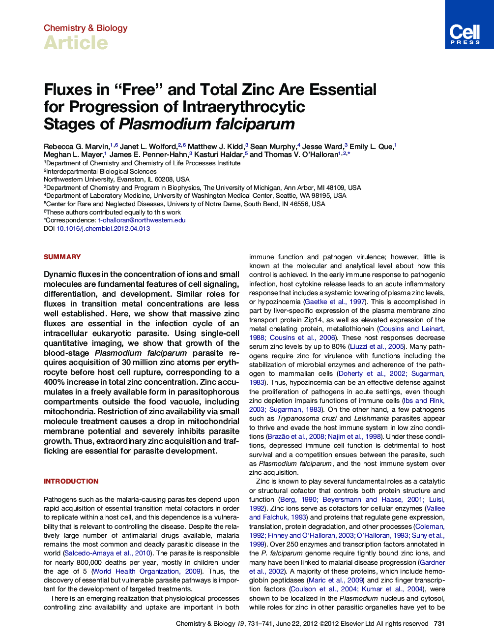 Fluxes in “Free” and Total Zinc Are Essential for Progression of Intraerythrocytic Stages of Plasmodium falciparum