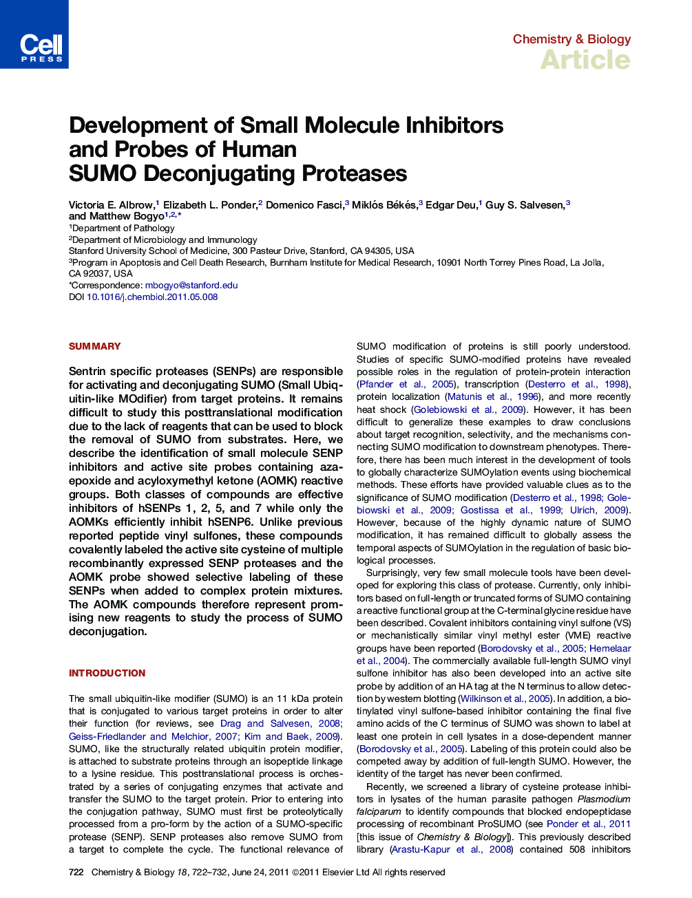 Development of Small Molecule Inhibitors and Probes of Human SUMO Deconjugating Proteases