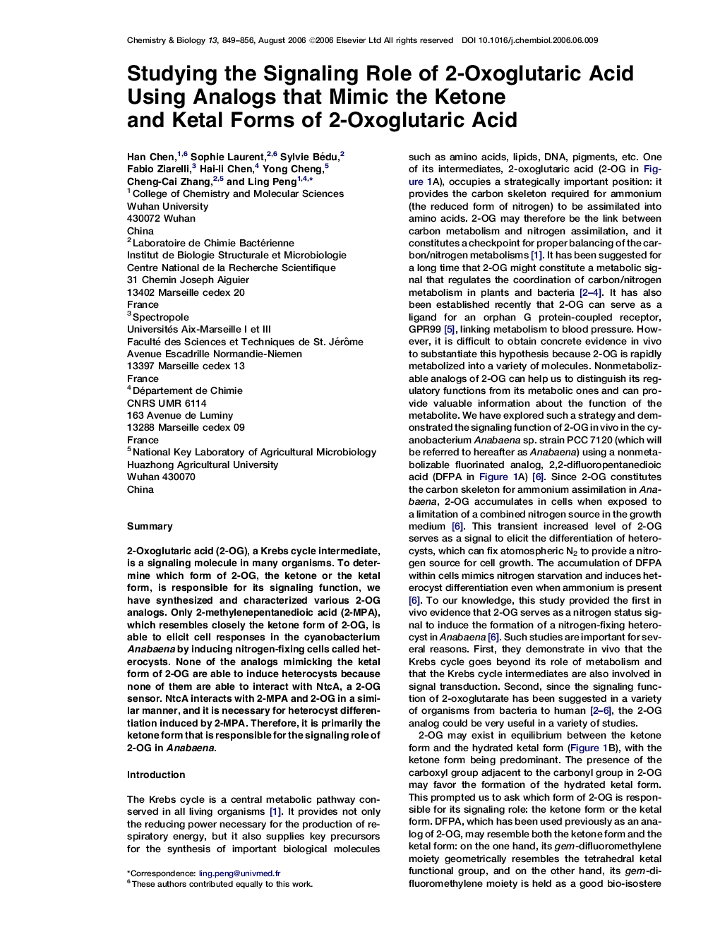 Studying the Signaling Role of 2-Oxoglutaric Acid Using Analogs that Mimic the Ketone and Ketal Forms of 2-Oxoglutaric Acid